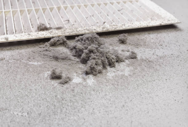 Best Affordable Air Duct Cleaning  in Pasadena Hills, FL
