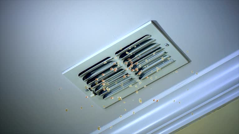 Best HVAC Air Duct Cleaning  in Pasadena Hills, FL