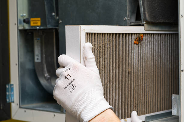 Best Air Duct Cleaning Near Me  in Pasadena Hills, FL